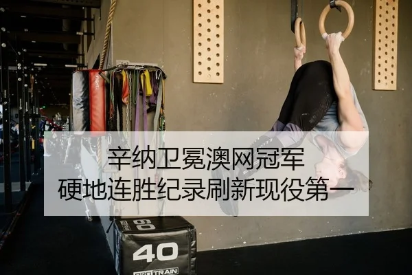 xin-na-wei-mian-ao-wang-guan-jun-ying-di-lian-sheng-ji-lu-shua-xin-xian-yi-di-yi-2-220.jpg